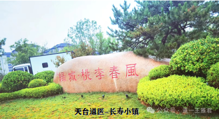 天台道医--长寿小镇